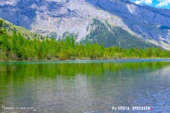 derbo_170528_-(151)