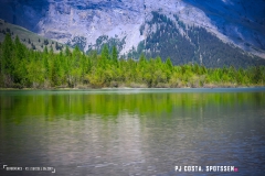 derbo_170528_-(152)
