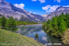derbo_170528_-(153)