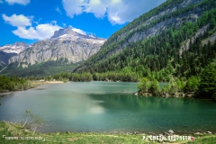 derbo_170528_-(157)