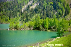derbo_170528_-(159)