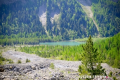 derbo_170528_-(19)