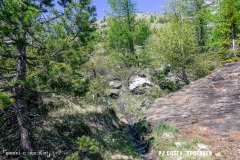 derbo_170528_-(27)