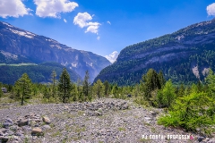derbo_170528_-(29)