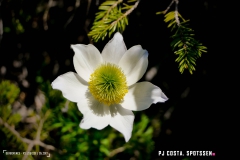 derbo_170528_-(32)