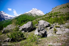 derbo_170528_-(33)