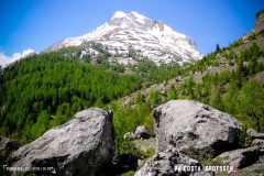 derbo_170528_-(34)