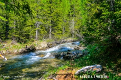 derbo_170528_-(5)