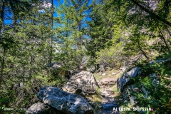 derbo_170528_-(51)