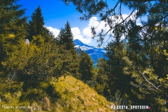 derbo_170528_-(52)
