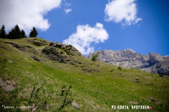 derbo_170528_-(56)