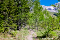 derbo_170528_-(6)