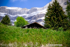 derbo_170528_-(69)