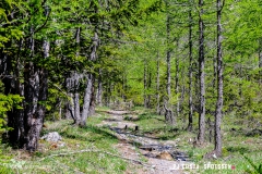 derbo_170528_-(7)