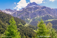 derbo_170528_-(72)