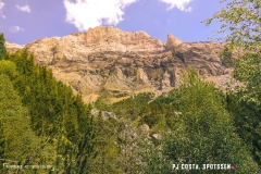 derbo_170528_-(74)