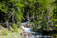 derbo_170528_-(8)