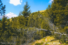 derbo_170528_-(81)