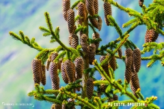 derbo_170528_-(84)