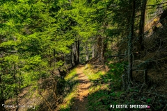 derbo_170528_-(85)