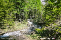 derbo_170528_-(9)