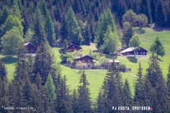 derbo_170528_-(91)