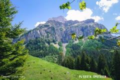 derbo_170528_-(94)