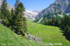 derbo_170528_-(95)