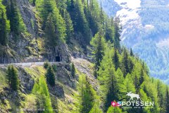 verticalemosson_170525__-18
