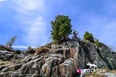 verticalemosson_170525__-43