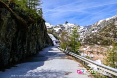 verticalemosson_170525__-50