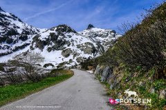 verticalemosson_170525__-58