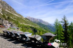verticalemosson_170525__-6