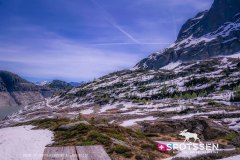 verticalemosson_170525__-64