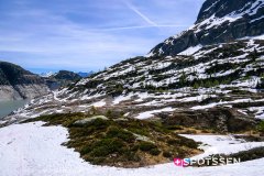 verticalemosson_170525__-65
