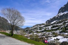verticalemosson_170525__-68