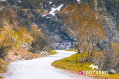 verticalemosson_170525__-69
