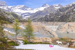 verticalemosson_170525__-74
