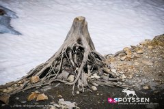 verticalemosson_170525__-82