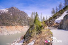 verticalemosson_170525__-83
