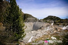 verticalemosson_170525__-88