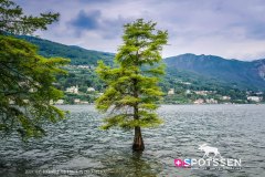 stresa_170520__-46