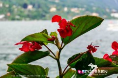 stresa_170520__-63