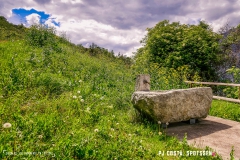 saxon_troup_170513_-(113)