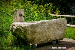 saxon_troup_170513_-(114)