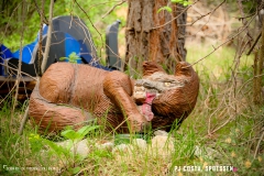 saxon_troup_170513_-(15)