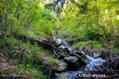 saxon_troup_170513_-(31)