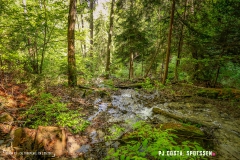 saxon_troup_170513_-(32)