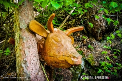 saxon_troup_170513_-(33)