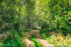 saxon_troup_170513_-(34)